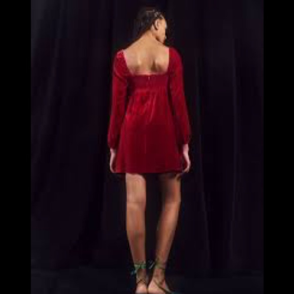 Reformation Chestnut Dress in Rhubarb - Picture 3 of 6
